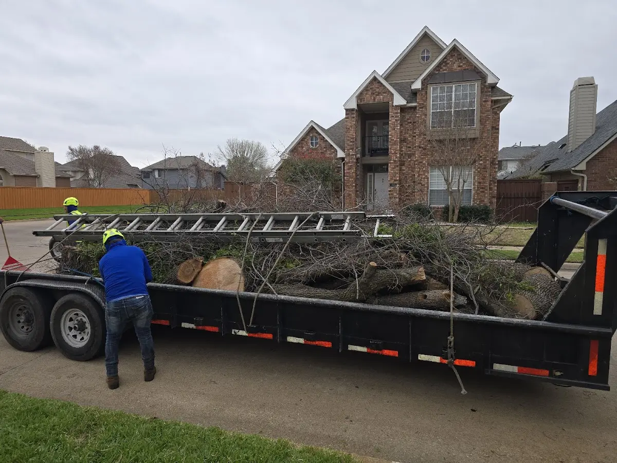 Expert Tree Removal with proper safety equipment in Brielle